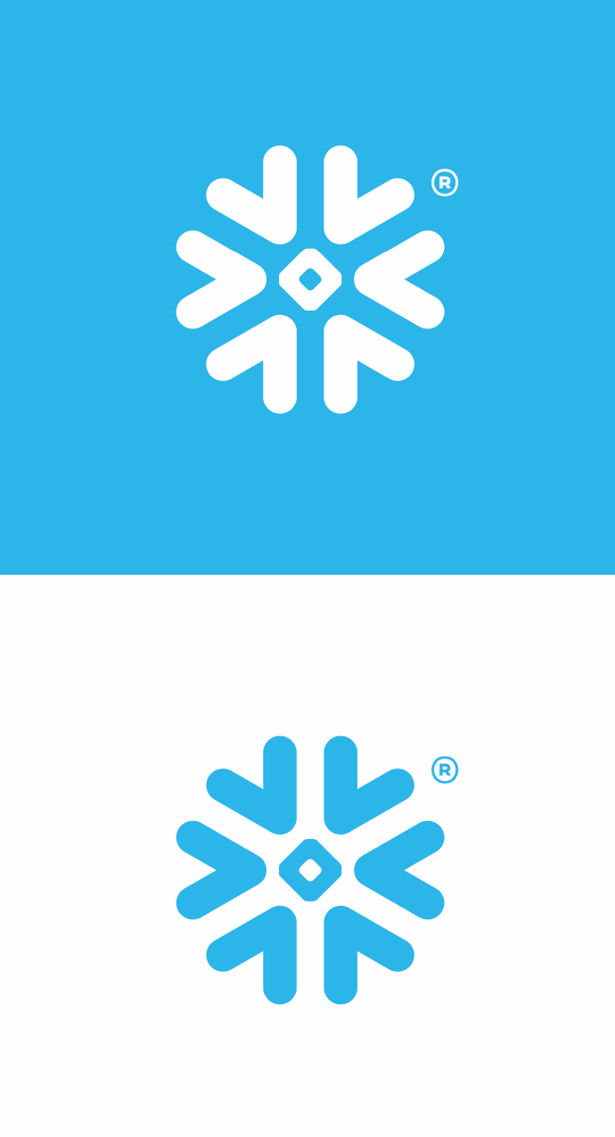 Snowflake bug logo
